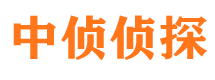 南汇找人公司